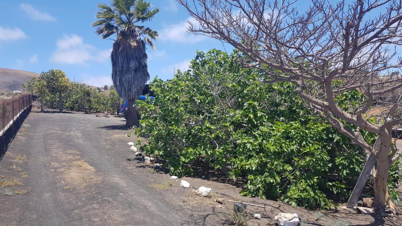 Finca Relax, Sea View, Oasis Vasiliko, La Asomada Tías Εξωτερικό φωτογραφία
